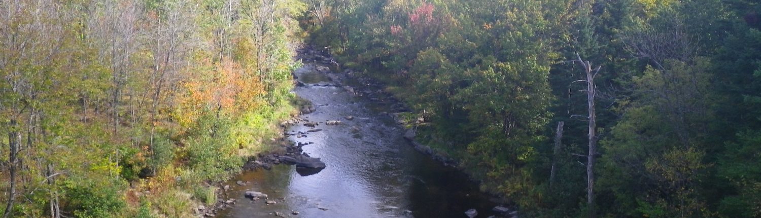 Rivière des Abénaquis, 2010