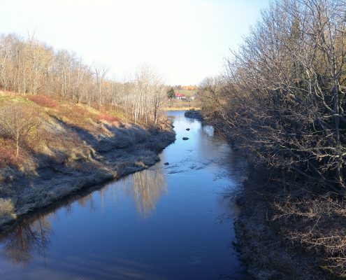 Rivière Le Bras Aval