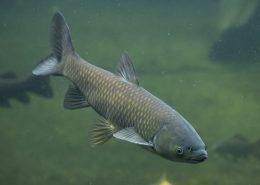 photographie : istock